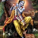 अरज सुणो बनवारी भजन