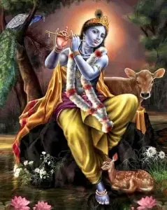 अरज सुणो बनवारी भजन