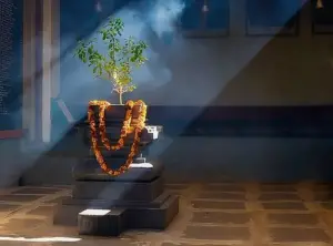 Tulsi Ki Manjari Ke Jaaduie Upay!