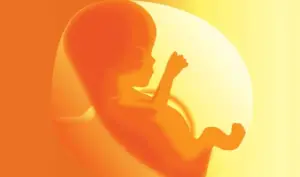 Akhir Purush Ko Kab or Kyo Milta hai Stree ka Janm