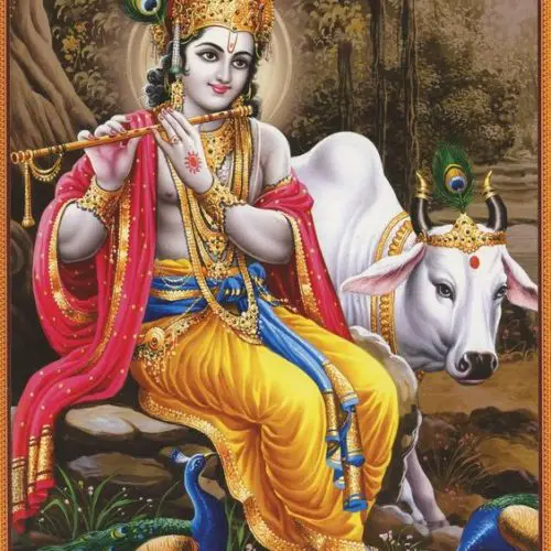 Radhe Krishna Ki Jyoti Alokik(राधे कृष्ण की ज्योति अलोकिक भजन)