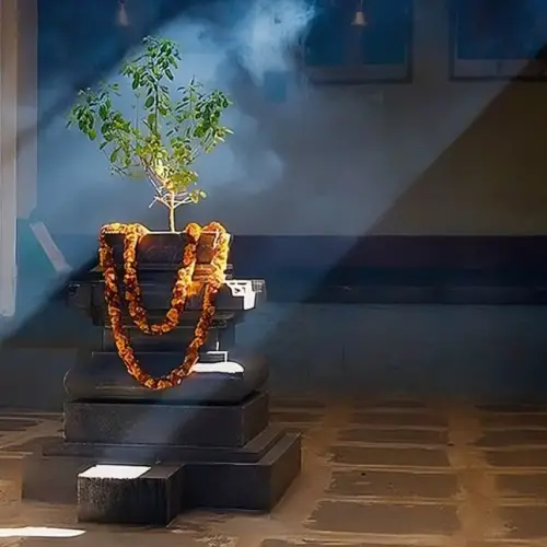 Tulsi Ki Manjari Ke Jaaduie Upay!