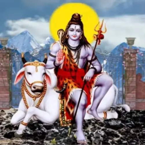 The Story of Nandi Bull