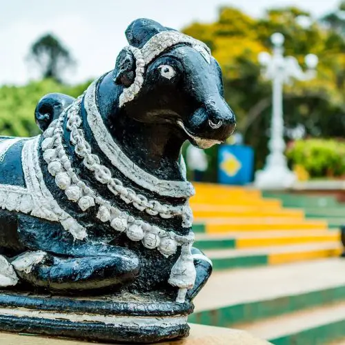 Kyun Nandi Ji Ke Kaan Mein Boli Jaati Hai Manokamna, Kya Hai Iske Niyam?