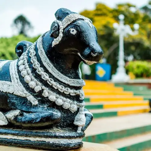 bull, statue, figure-338438.jpg